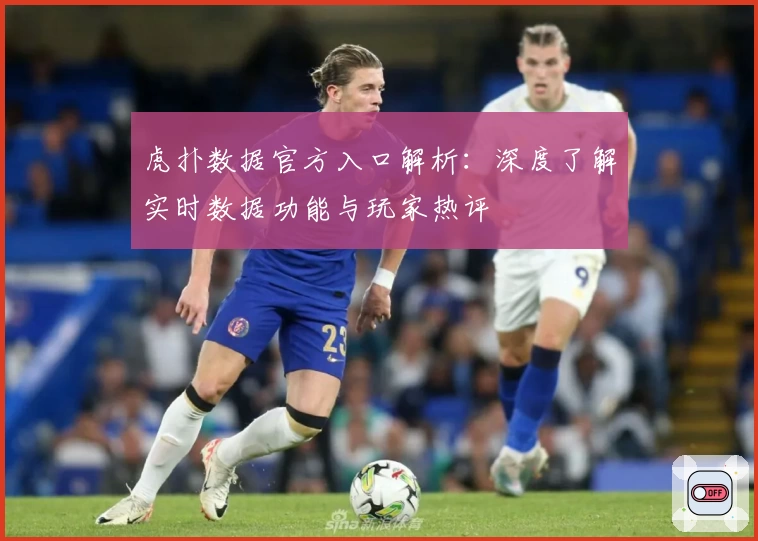 虎扑数据官方入口解析：深度了解实时数据功能与玩家热评