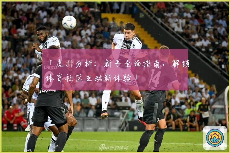 「虎扑分析：新手全面指南，解锁体育社区互动新体验」