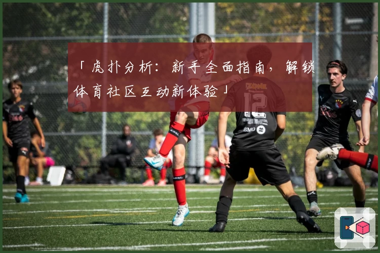 「虎扑分析：新手全面指南，解锁体育社区互动新体验」