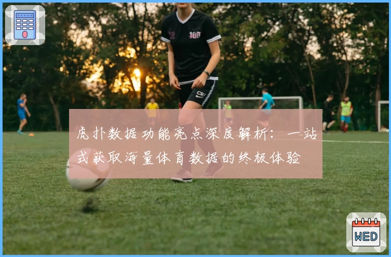 虎扑数据功能亮点深度解析:一站式获取海量体育数据的终极体验