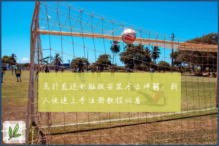 虎扑直连电脑版安装方法详解，新人快速上手注册教程必看